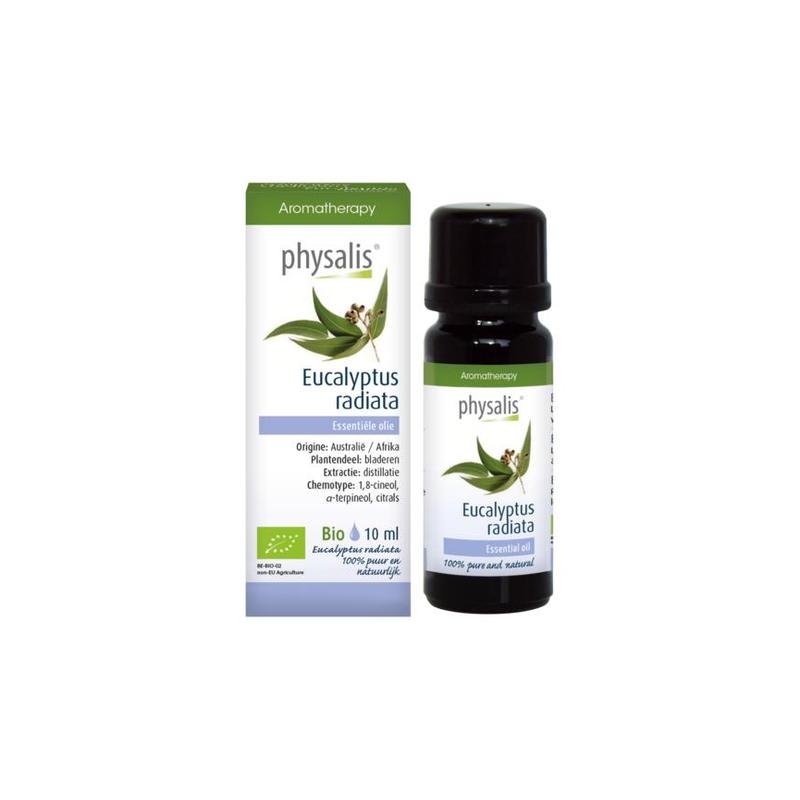 Physalis Physalis PH EO Eucalyptus radiata 10 ml BIO - 10ml