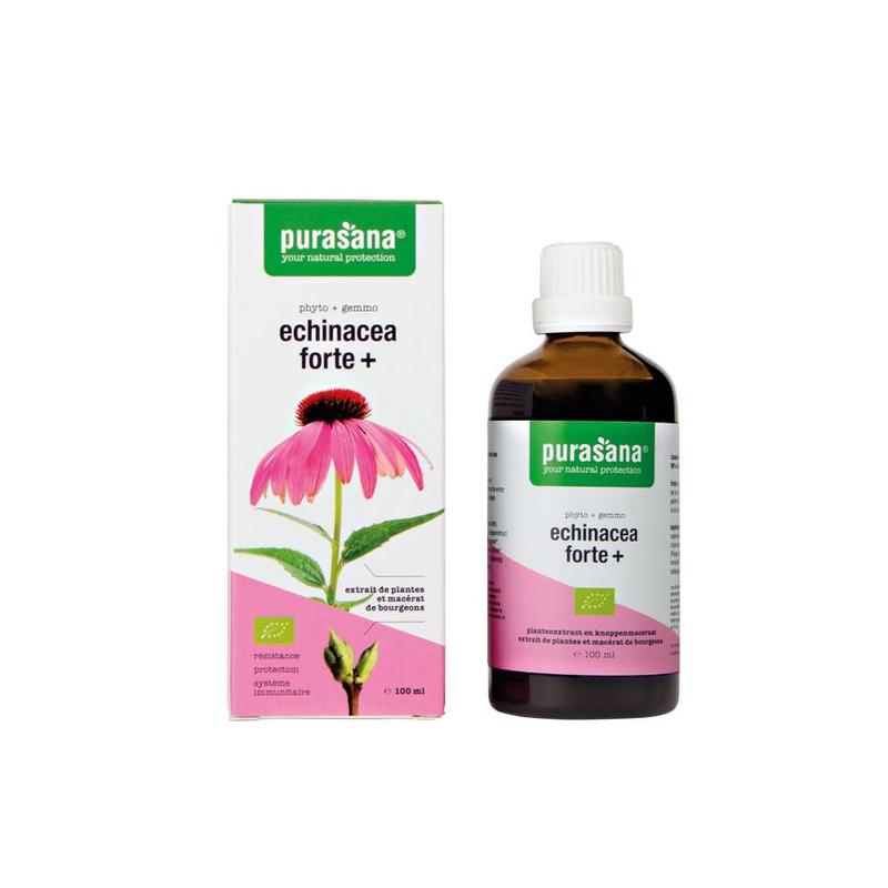 Purasana PURASANA Echinacea forte + 100 ml BIO - 100ml