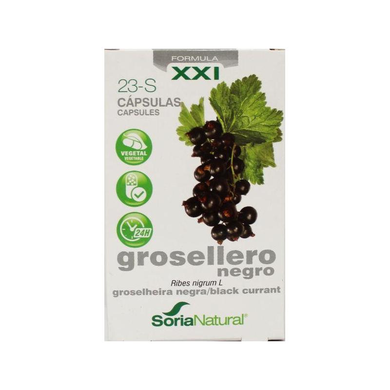 Soria natural Soria Natural 23-S Ribes nigrum XXI - 30cp