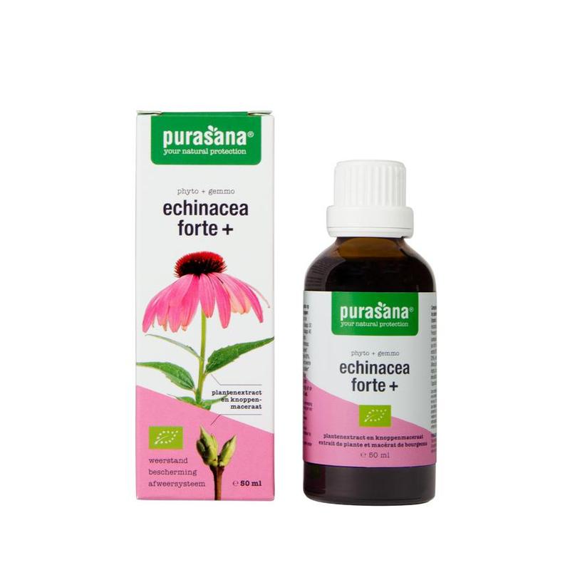Purasana PURASANA Echinacea forte + 50 ml BIO - 50ml