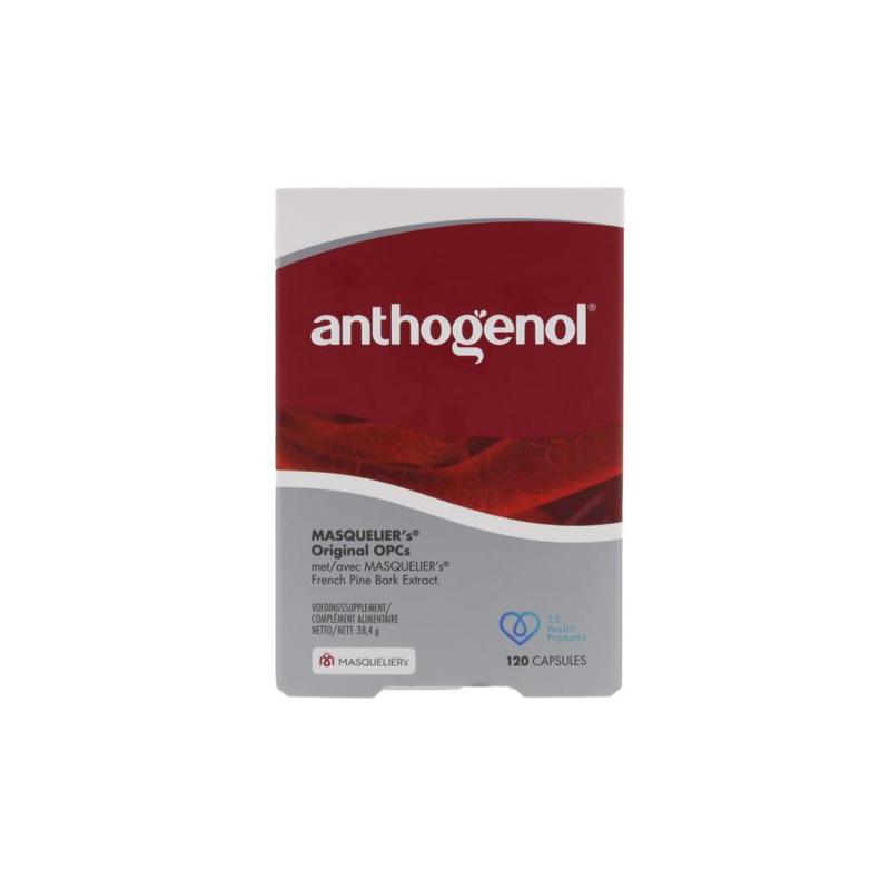 Masquelier's MASQUELIER'S Anthogenol 120caps - 120cp