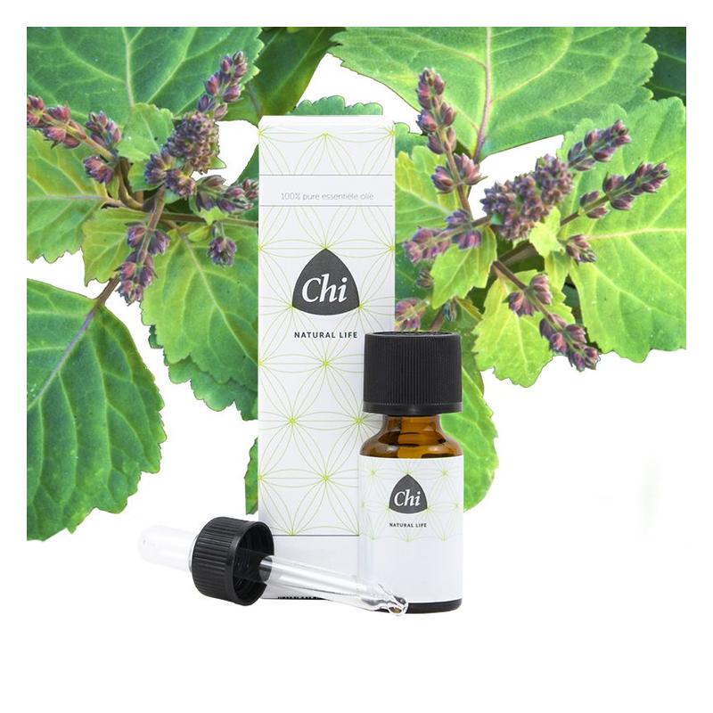 Chi Chi Patchouli, Clt. - 10ml