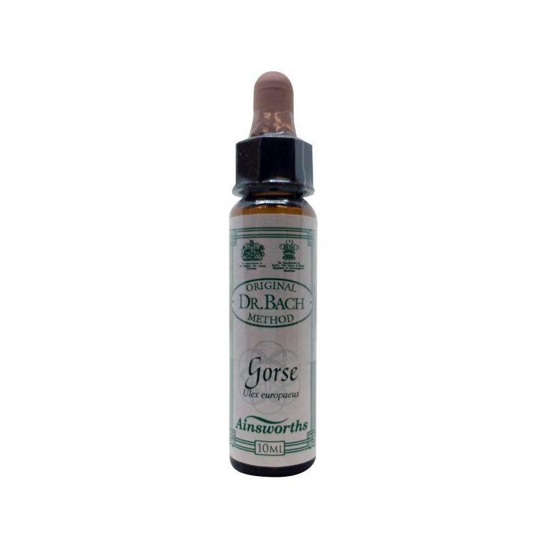 Ainsworths Ainsworths Bach Bloesem Gorse - 10ml