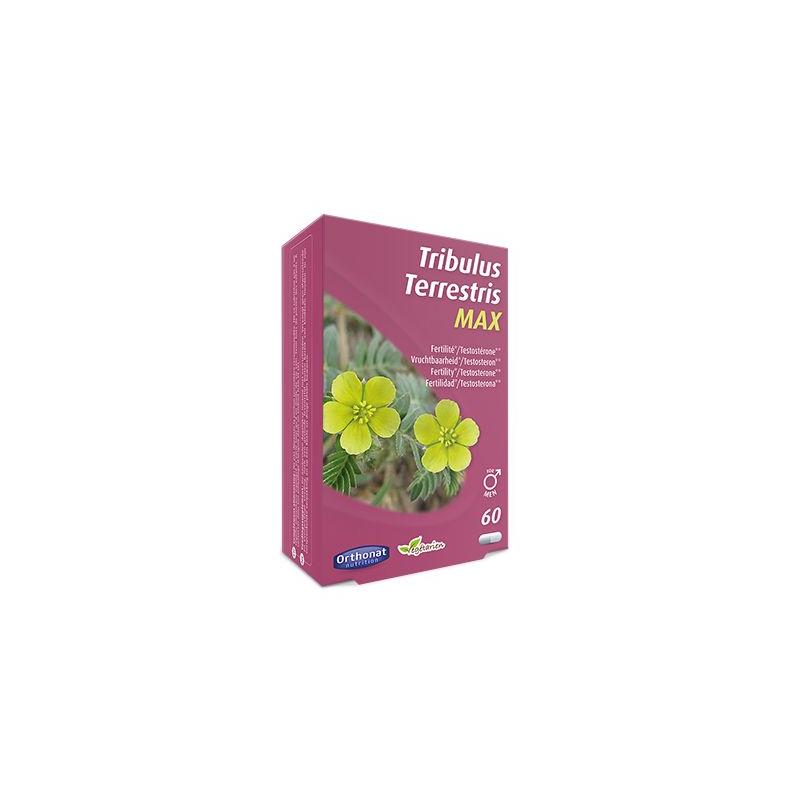 Trenker TRENKER Tribulus Terrestris MAX - 60 caps - 60cp