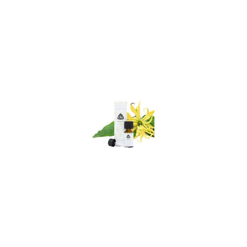 Chi Chi Ylang-Ylang, Clt. - 10ml