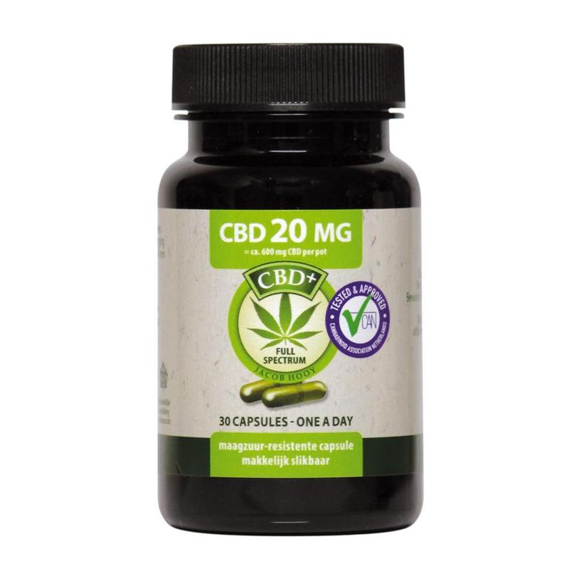 Jacob hooy Jacob Hooy CBD CAPS 30ST 20MG - 30cp