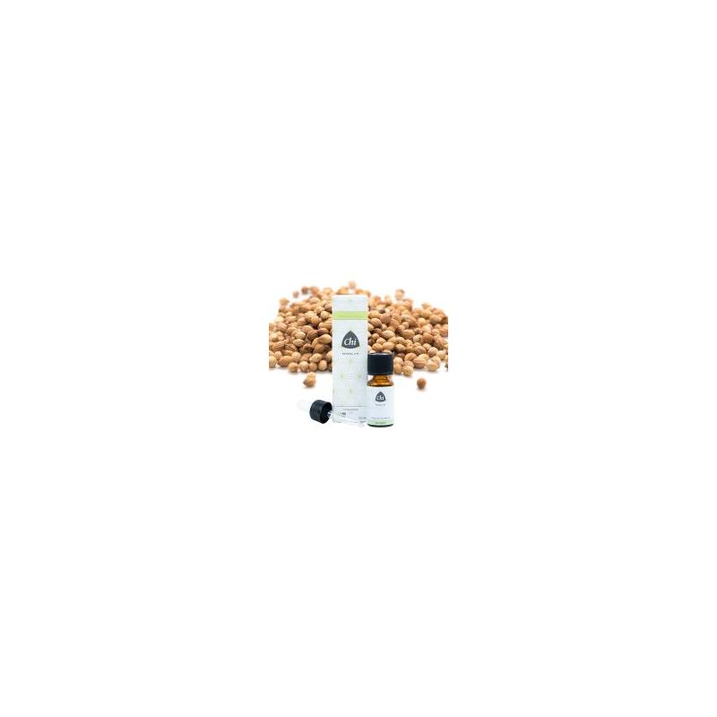 Chi Chi Koriander, Zaad, BIO - 10ml