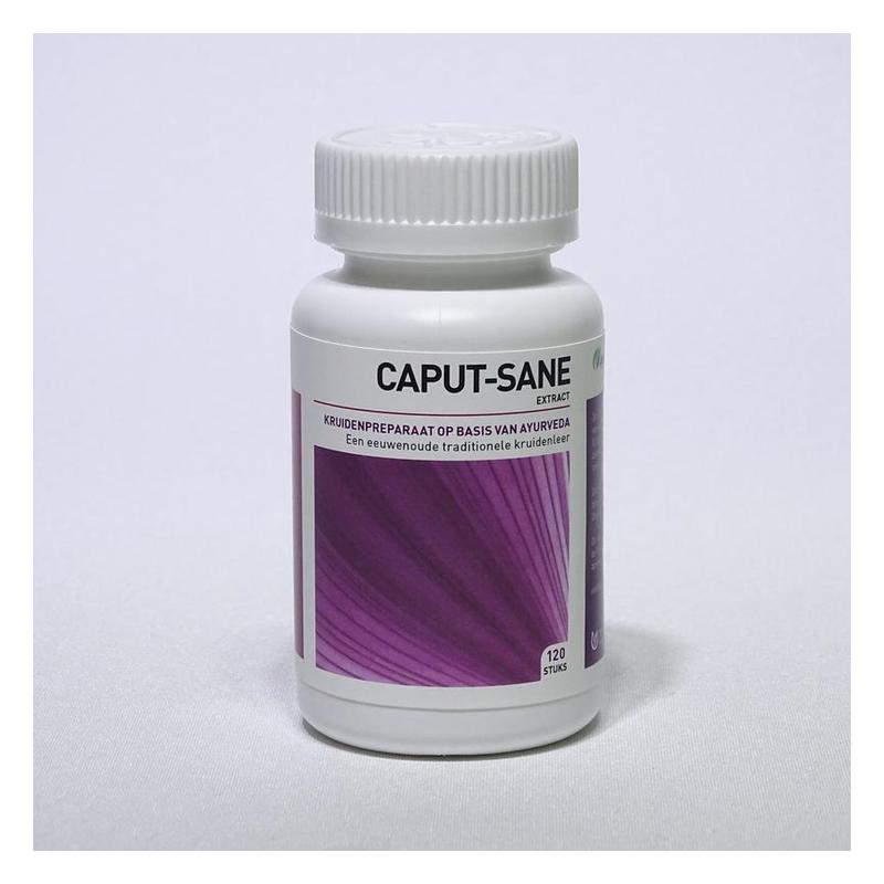 Ayurveda health Ayurveda Health Caput Sane 400mg - 120tb