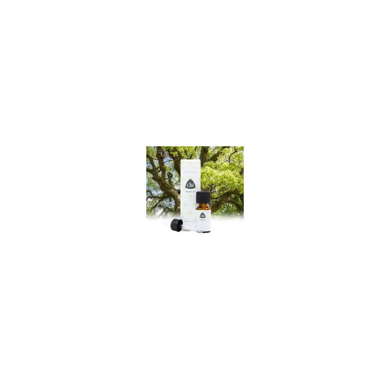 Chi Chi Kamfer, Wild - 20ml