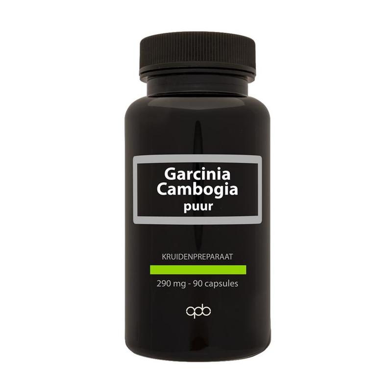 Apb holland APB Holland Garcinia Cambogia 290mg puur - 90vcp