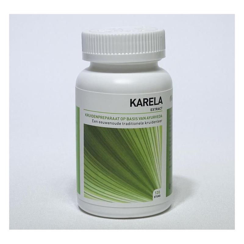 Ayurveda health Ayurveda Health Karela (Momordica Charantia) - 120tb
