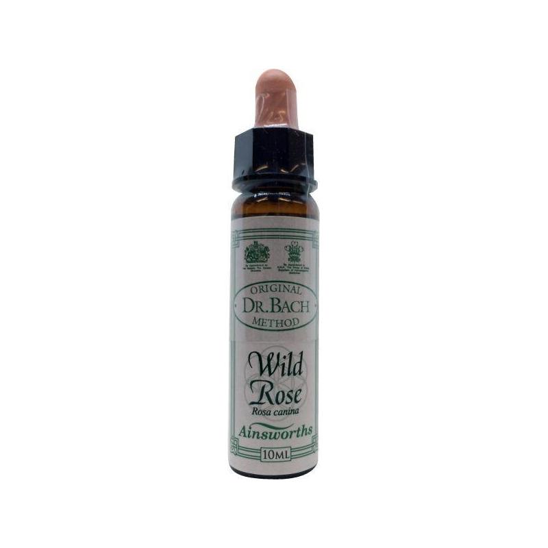 Ainsworths Ainsworths Bach Bloesem Wild Rose - 10ml