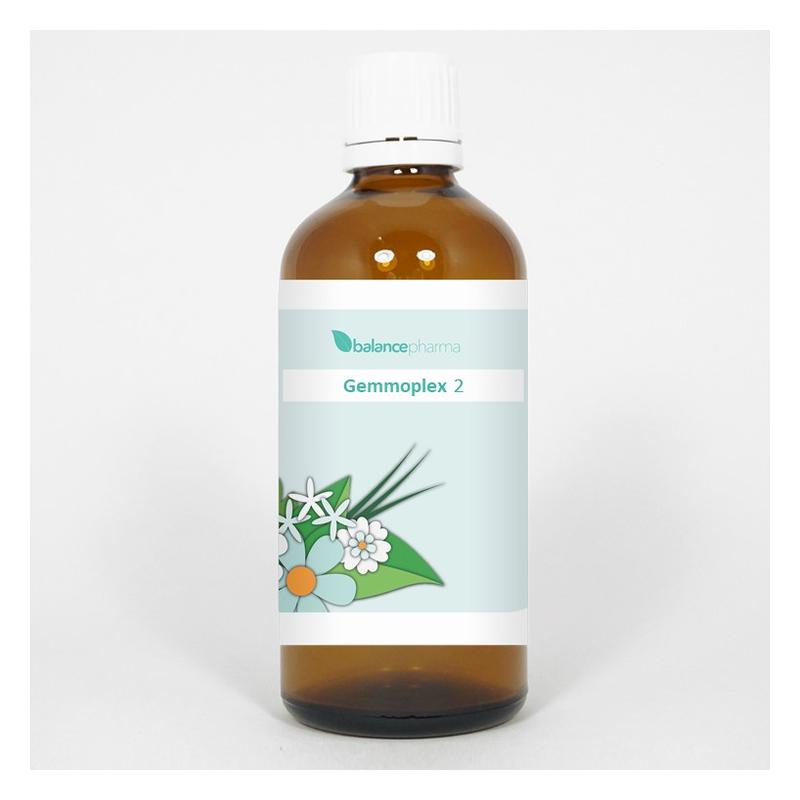 Balancepharma BalancePharma Gemmoplex 02 Huid - 100ml