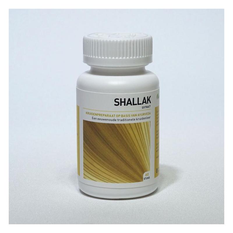 Ayurveda health Ayurveda Health Shallak - 60tb