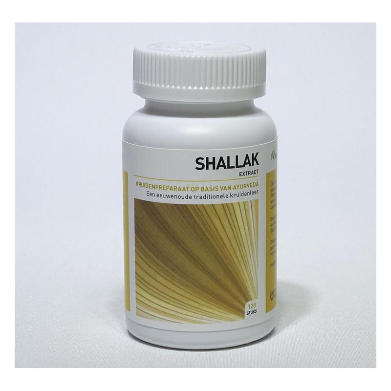 Ayurveda health Ayurveda Health Shallak - 120tb