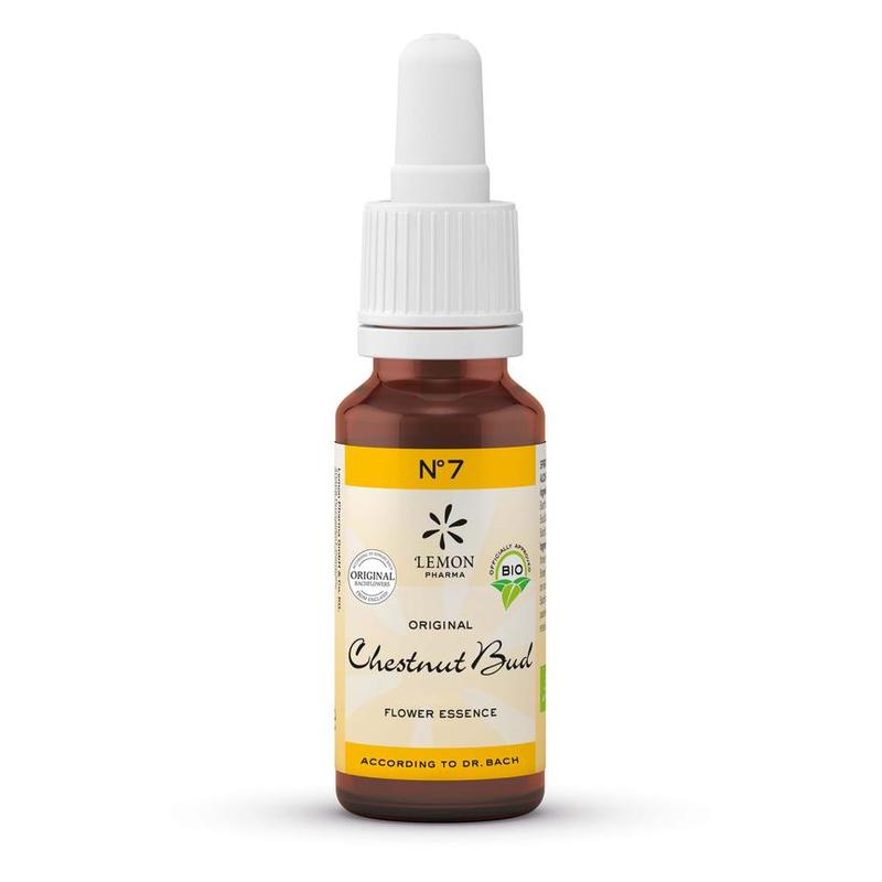 Lemon pharma Lemon Pharma Bach bloesem No. 7 Chestnut bud BIO - 20 - 20ml