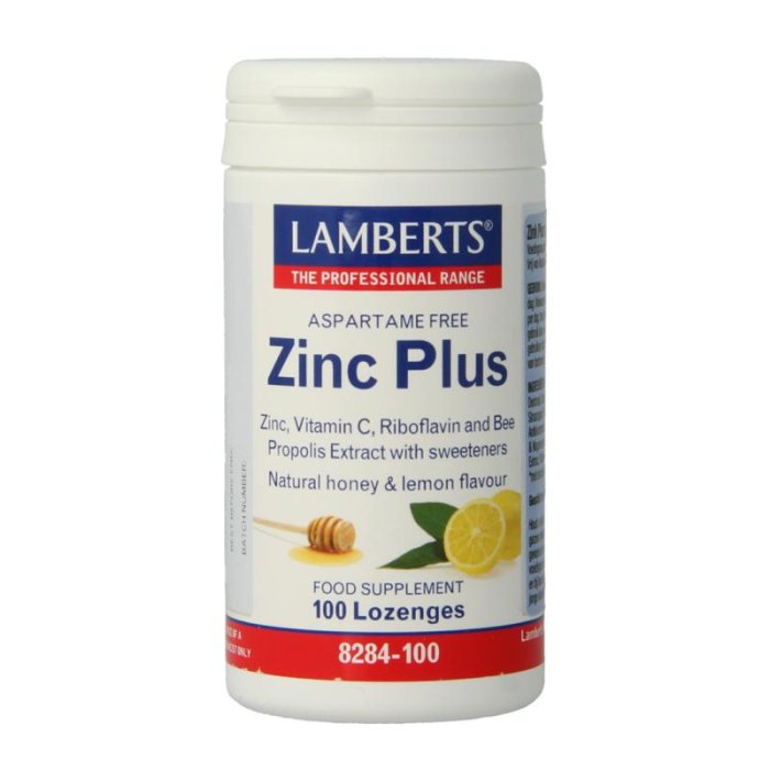 Lamberts Lamberts Zinc Plus - 100ztb
