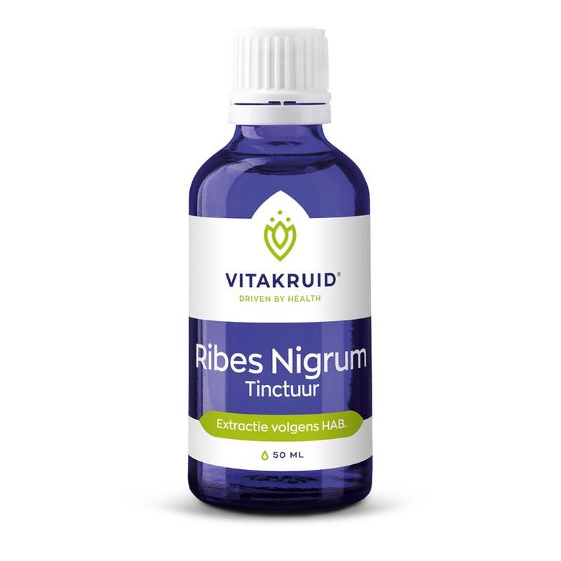Vitakruid Vitakruid Ribes Nigrum Zwarte bes tinctuur 1:10 - 50ml