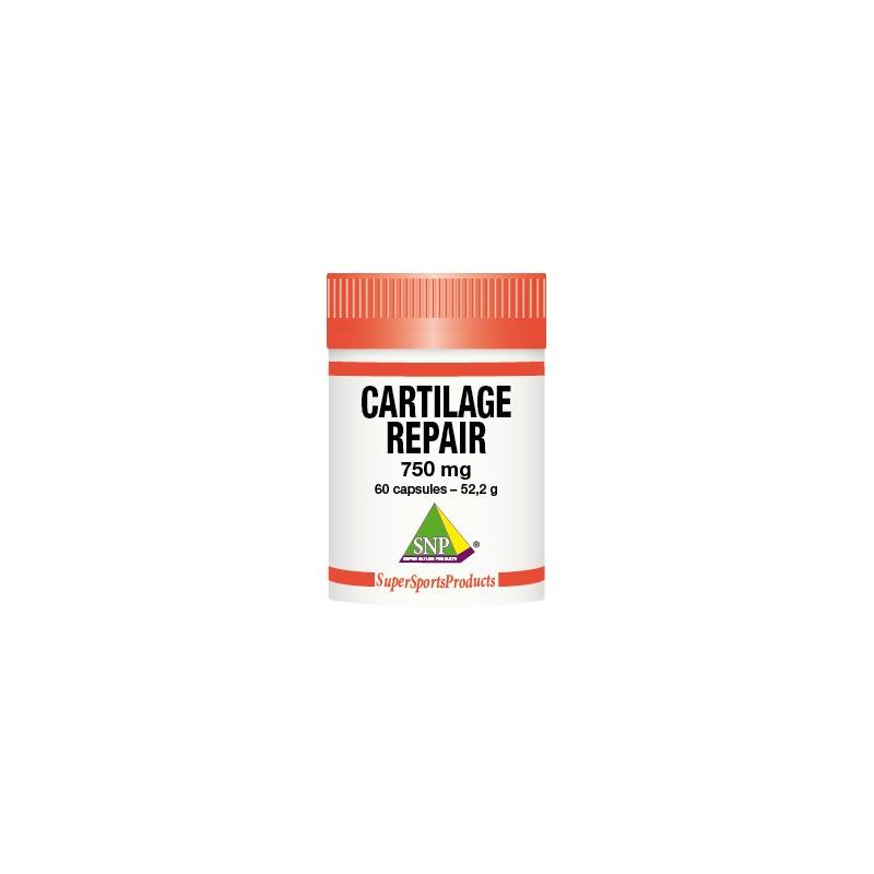 Snp SNP Cartilage repair 750 mg puur - 60cp