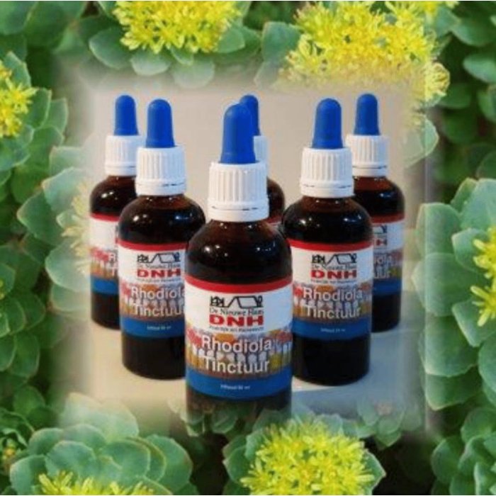 Dnh research DNH Research Rhodiola tinctuur - 50ml